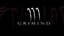 Vandal-Grimind Review