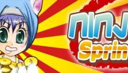 Ninja Sprint Review || LAG