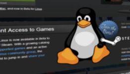Steam’s December hardware survey shows early Linux take-up
