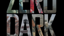 Entertainment Fuse – Review: Zero Dark Thirty