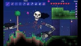 Developer Gives Demo for Terraria Console Version