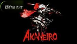 Akaneiro: Demon Hunters Gets The Greenlight from Steam