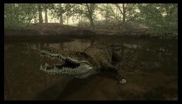 Nintendo Life: Cabela’s Dangerous Hunts 2013 Review