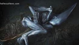 Prometheus 3 May Heavily Focus on Alien Origins