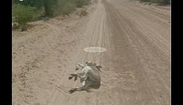 Google Didn’t Kill a Donkey, It Just Looked That Way