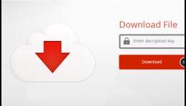 Kim Dotcom’s Mega launches today