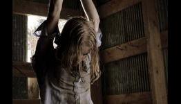 Rites of Spring: ShockYa Review
