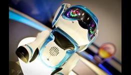Pocket-Lint: Teksta the Robotic Puppy (2013) pictures and hands-on