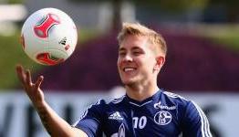 Tottenham boss Andre Villas-Boas says Lewis Holtby is ‘bargain of the century’