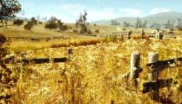 Interview With Craig of DarkCryo Regarding Their Shiny MMO: Firefly Universe Online