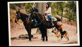 Ted DVD Review | GES