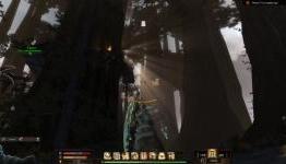 Forge Review | Varms