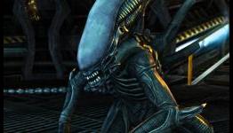 AVP: Evolution Preview (Modojo)
