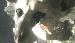 The Last Guardian Headed To Playstation 4