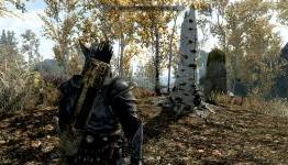 Skyrim director Todd Howard Says Graphics Trump Gameplay