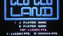 8 Bit Wonders – Clu Clu Land