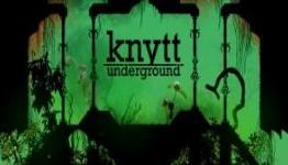 The Gamer Scene: Knytt Underground PC Review
