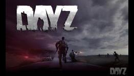 Guide: Beginners Guide to DayZ