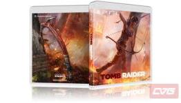 New releases and custom covers: Tomb Raider, Castlevania: Mirror of Fate