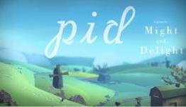 Pid Review (PSN)