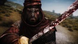 Skyrim Redguard DLC is a Hoax