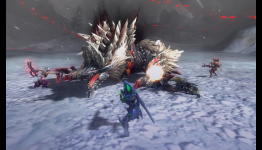 Escape Rope | Monster Hunter 3 Ultimate 3DS
