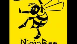 NinjaBee demoing new game Nutjitsu at PAX East