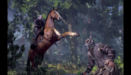 Pros vs Cons: The Witcher 3 Multiplayer – Part One