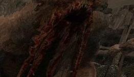 S.T.A.L.K.E.R. C.H.R.O.N.I.C.L.E.S.