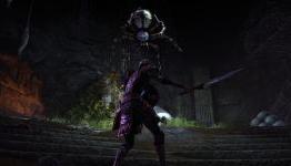 Elder Scrolls Online PAX Overview: Day Two