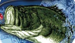 Super Black Bass 3D Review | Hardcore Gamer