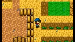 Nintendo Life: Harvest Moon Review
