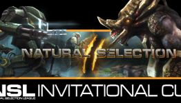 USA clashes with Europe in Natural Selection 2 Grand Final