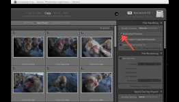 Adobe Lightroom 5 beta: hands-on with Smart Previews, radial gradients, and easy straightening