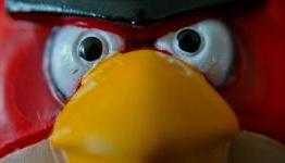 Angry Birds and Cash Cows