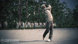 Tiger Woods PGA Tour 14 Review | About