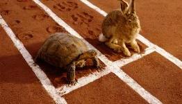 For Nintendo, slow and steady makes sense