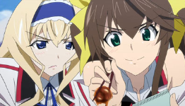Infinite Stratos Light Novels Get New Manga