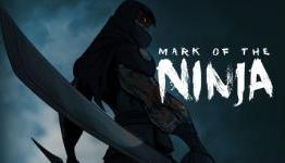 Interview with Mark of the Ninja creator Nels Anderson