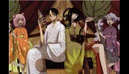 SA Gaming Portal Features xxxHolic