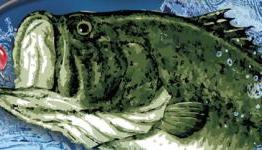 Super Black Bass 3D Review | Wiiloveit