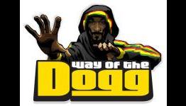 Way of the Dogg Trailer – Nothin’ But A QTE Thang