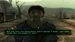 Top 5 Most Annoying NPCs Ever.