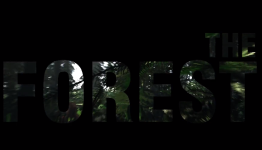 Everyone Should Vote YES For The Forest In Steam Greenlight