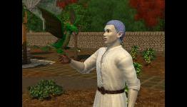 Check out the sights of Dragon Valley in The Sims 3