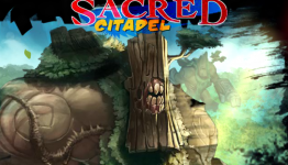 Review: Sacred Citadel | Metro Gaming
