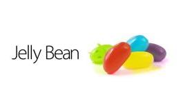 My Month With Nexus 4′s Jelly Bean