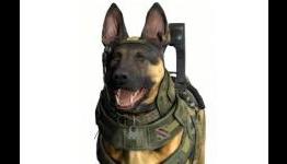 Call of Duty: Ghosts has Kinect voice commands on Xbox One