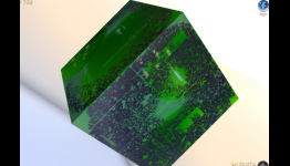 Curisoty: What’s Inside The Cube? Reveals Winner Video