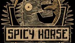 American McGee’s Spicy Horse hiring Unity3D devs for next project